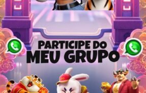 Imagem do grupo de WhatsApp Plataforma lota bonso