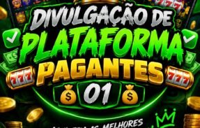 Imagem do grupo de WhatsApp  DIVULGAÇÃO DE PLATAFORMA PAGANTES 01